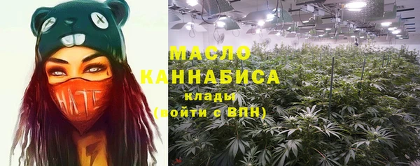 дурь Бородино