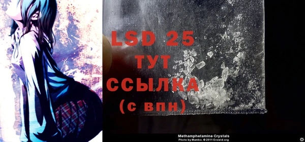 PSILOCYBIN Бугульма