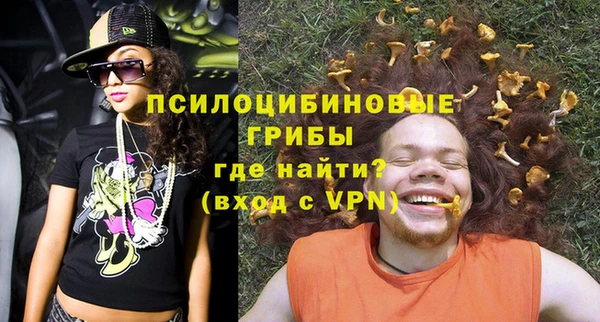 PSILOCYBIN Бугульма