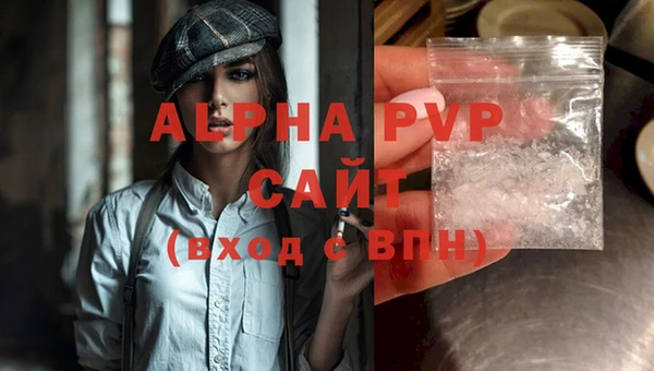 дурь Бородино