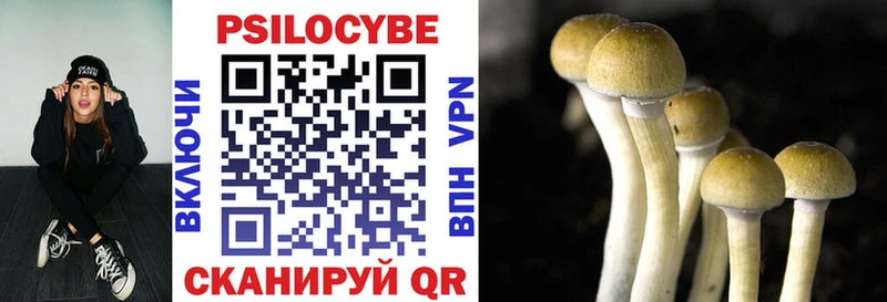даркнет сайт  Кемь  Галлюциногенные грибы GOLDEN TEACHER 